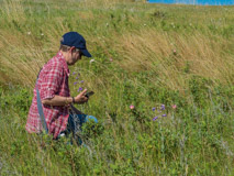 Photographing wild flowers.