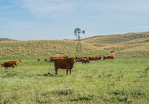 Drove South from Dismal River and turned on small road to cut west - Paxton Santo Rd