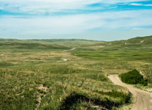 Sandhills are beautiful and the landscape is powerful.  Not easy to capture that in a photo, but I keep trying.