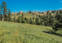 Saturday afternoon ranch trek in several trucks.  The views were awesome!