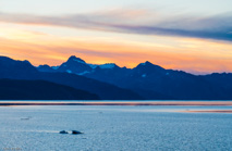 9/1/16, Jaw Point: What a way to welcome September!  Glacier Bay today.