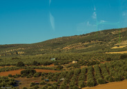 Granada to Toledo-Source of all those 