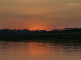 Peruvian Amazon Region, sunset over Parakeet Island.  All of those black spots in the sky are parakeets.