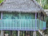 Peruvian Amazon Region, love this family house!  Saw no real jaguars, though.