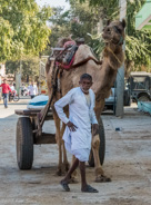 Delhi to Jaipur: some scenes along the way.