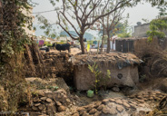 Buffalo patties in the sun drying.