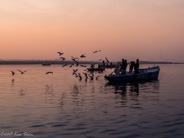 Varanasi: The sun is up now.