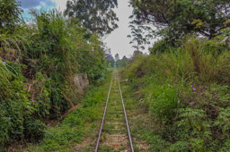 From 1936, a narrow gauge rail put in by the French.