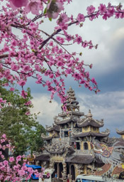 View of a small part of Linh Phuoc Pagoda.