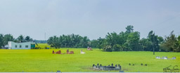 On the ride back to Saigon, we passed another rice field with burials scattered about.  I was told that the Buddist priest/  feng shui master works with the family to find the ideal spot in terms of energy forces for the deceased.  That's all I know.
