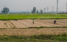 interesting to see what is under the water in the rice fields.