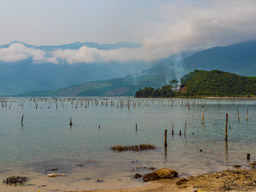 On the way to Hoi An.  This was a pit stop that became quite interesting.  These are all used for oyster fishing.