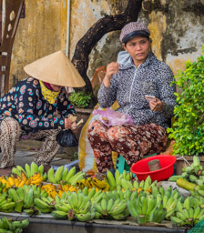 Banana market?