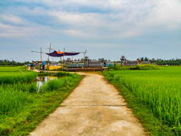 and towards a large cemetery in the country rice field.