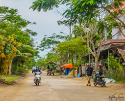 Country road -with the little moving house.