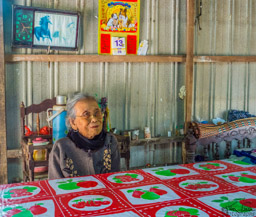 Stopped at the house of an older woman who lives in the country.