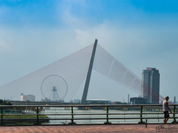 Now look North from the Dragon Bridge to see this beautiful bridge, and the ferris wheel adding another dimension.