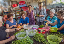Yes, we were put to work on the vegetables.  Tried some new greens that day, like peeled pumpkin stems.