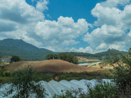 The Dalat area is covered with greenhouses!  This is a major flower-growing area.