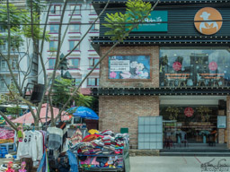 Dalat is a beautiful modern city - with lots of flowers and coffee!