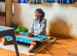 The weaver.