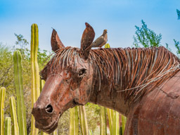 Real Quail visits an unreal horse in the gardens.