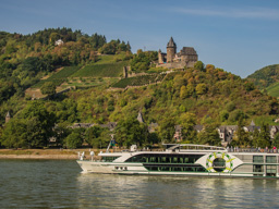 Same castle from a distance showing all of the wine growing areas around it.