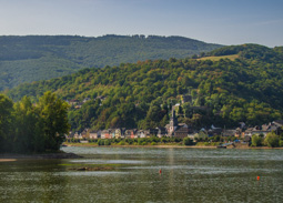 This town has a castle very close, barely above it.  Castle owners used to stop ships on the Rhine and collect taxes before letting them pass on.