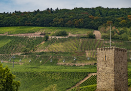 Continuation of the finicular cable cars.  We didn't stop for a ride, unfortunately.