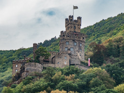 I think we saw this one on the way upriver on the bus, so hear it is again from the ship.