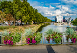 Flowers are the main method of decoration and they are beautiful!