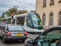 Bad photo but only one I took of the transport vehicles.  Very efficient and effective.