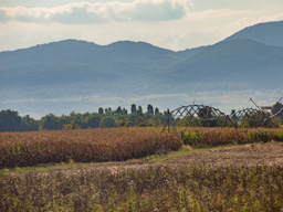 Not only corn country, but center pivot country!