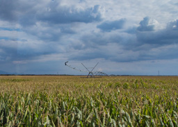 Yes, OK, last corn and center pivot photo.