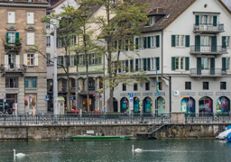 Lake Zurich right up to a good shopping district.  Lots of Swans.
