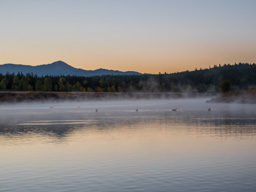 Sometimes, turn around and take a shot behind you!