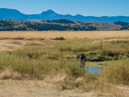 Not a photographer this time, but a painter!