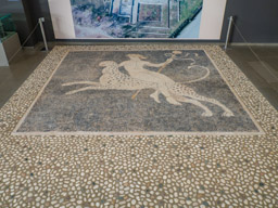 In the Archaeological Museum of Pella, now sure who is reding the leapord.