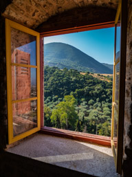 Hmm, looks more like olive trees than grape vines, but what do I know?