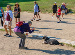 I take cat photos, she takes dog photos.  We heard that both are well-cared for here.